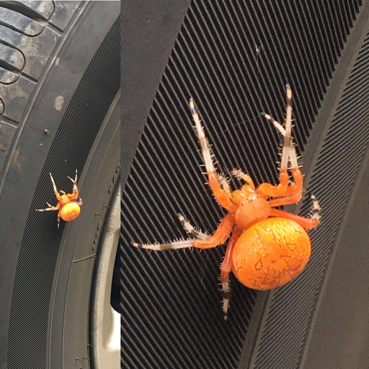 Daily Pictures. Part 1 (74 pics)