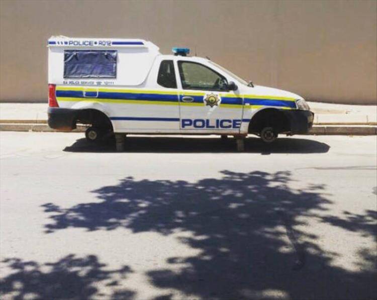 Daily Pictures. Part 1 (74 pics)