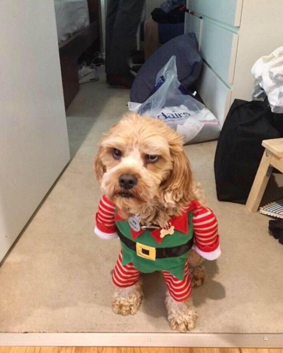 Daily Pictures. Part 1 (74 pics)