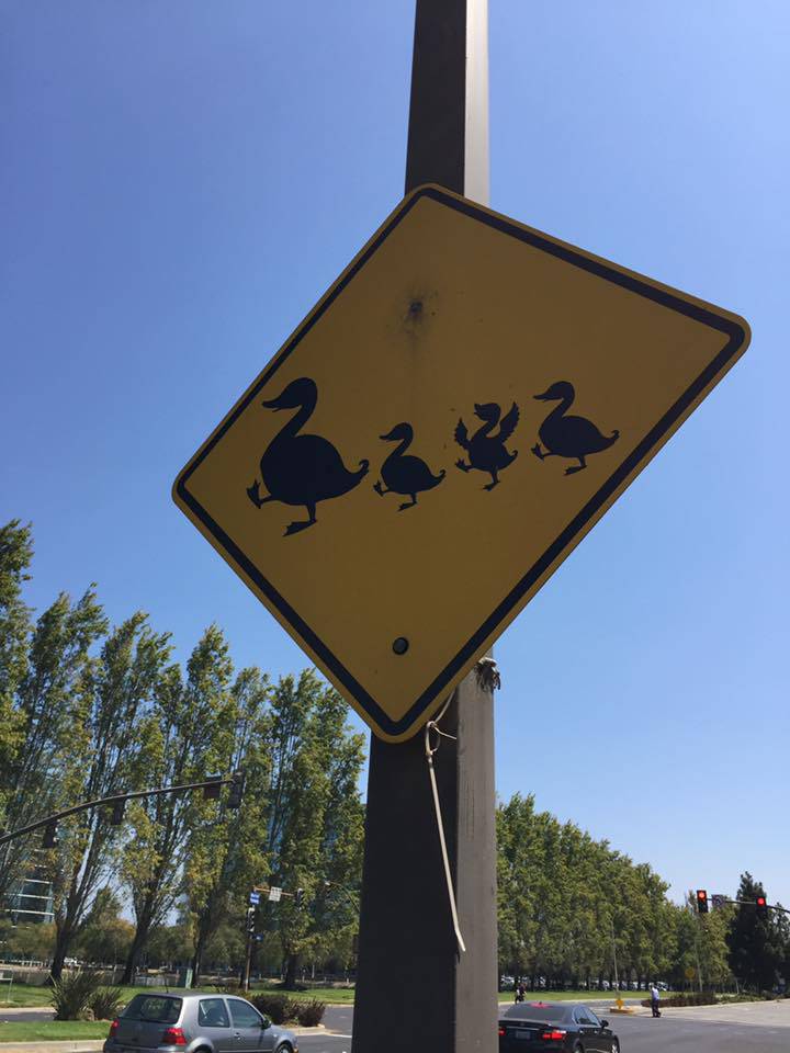 Daily Pictures. Part 1 (74 pics)