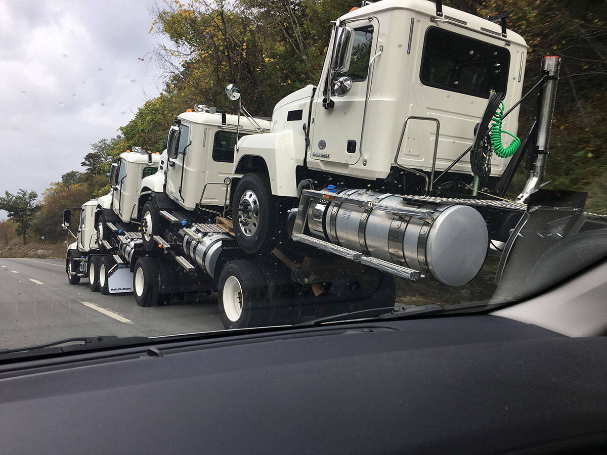 Daily Pictures. Part 1 (74 pics)