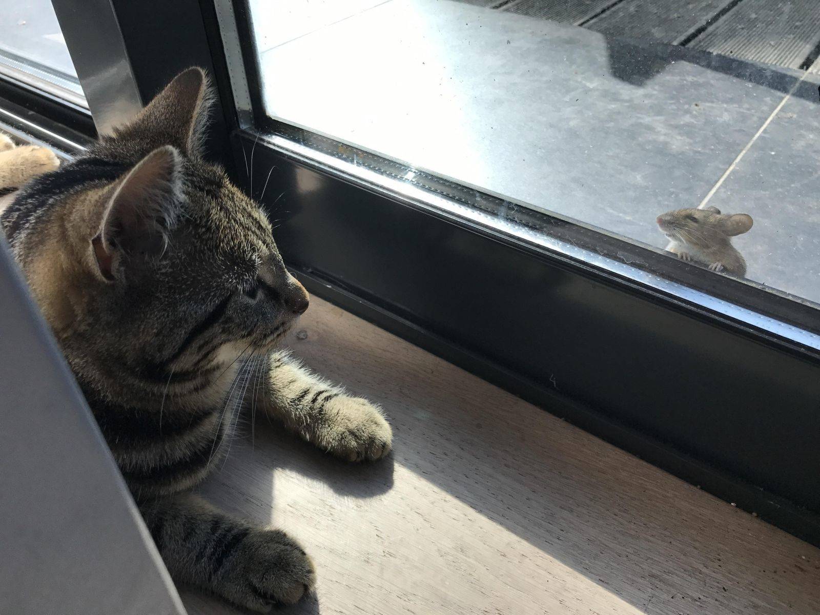 Daily Pictures. Part 1 (74 pics)