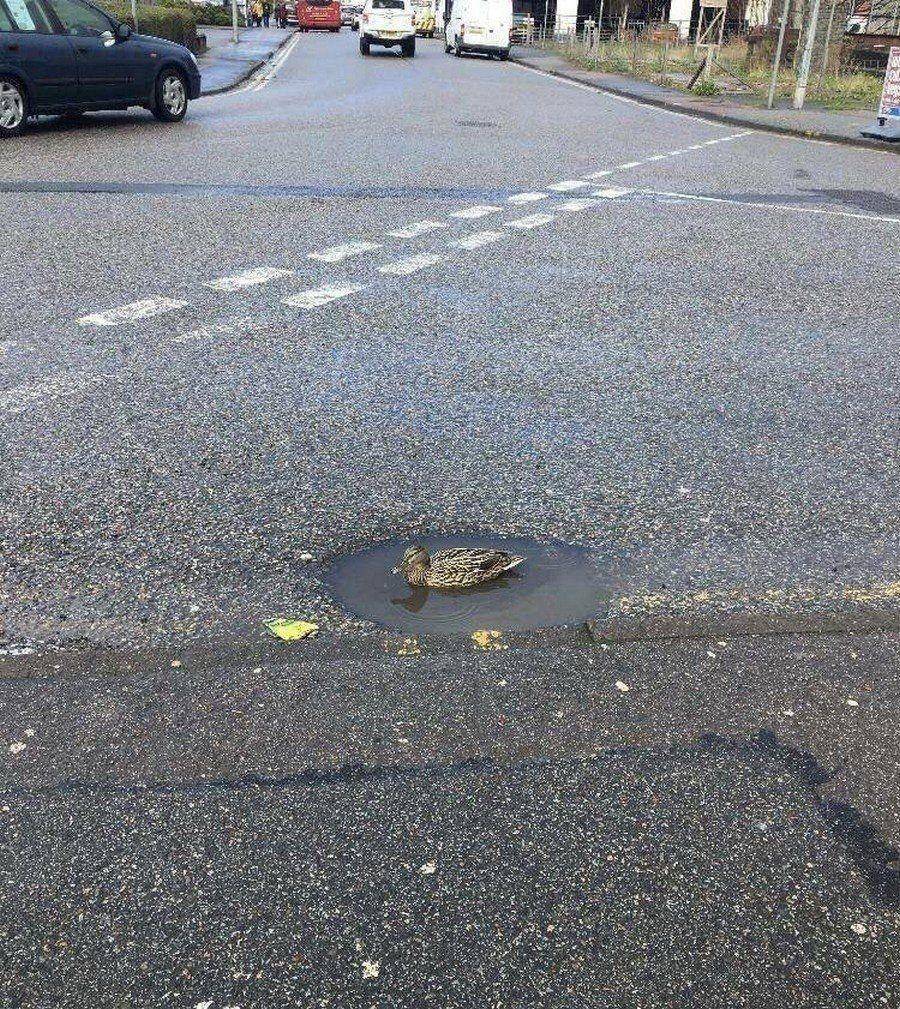 Daily Pictures. Part 1 (74 pics)