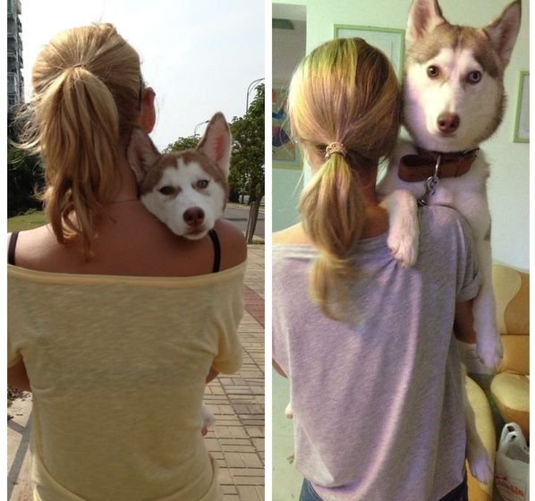 Daily Pictures. Part 1 (74 pics)