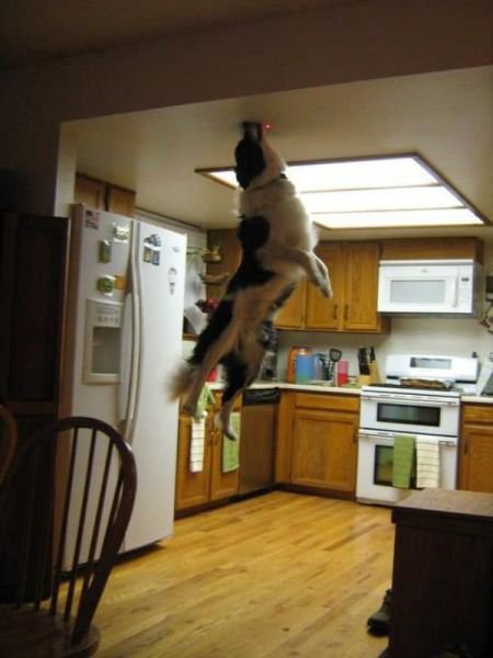 Daily Pictures. Part 1 (74 pics)