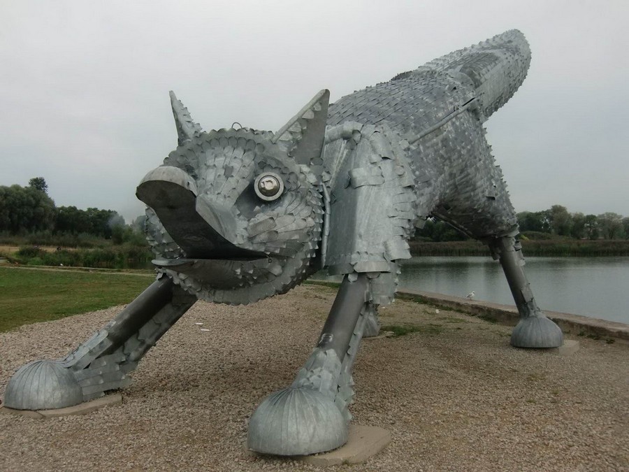 Daily Pictures. Part 1 (74 pics)