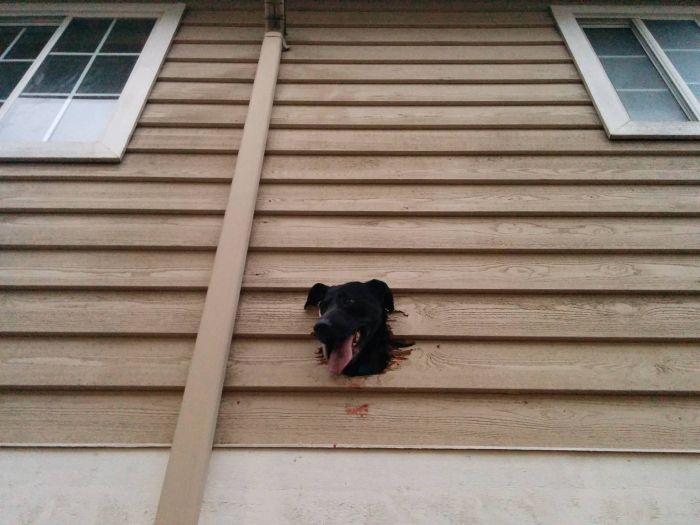 Daily Pictures. Part 1 (74 pics)