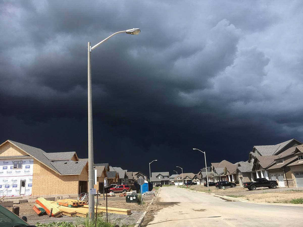 Daily Pictures. Part 1 (74 pics)