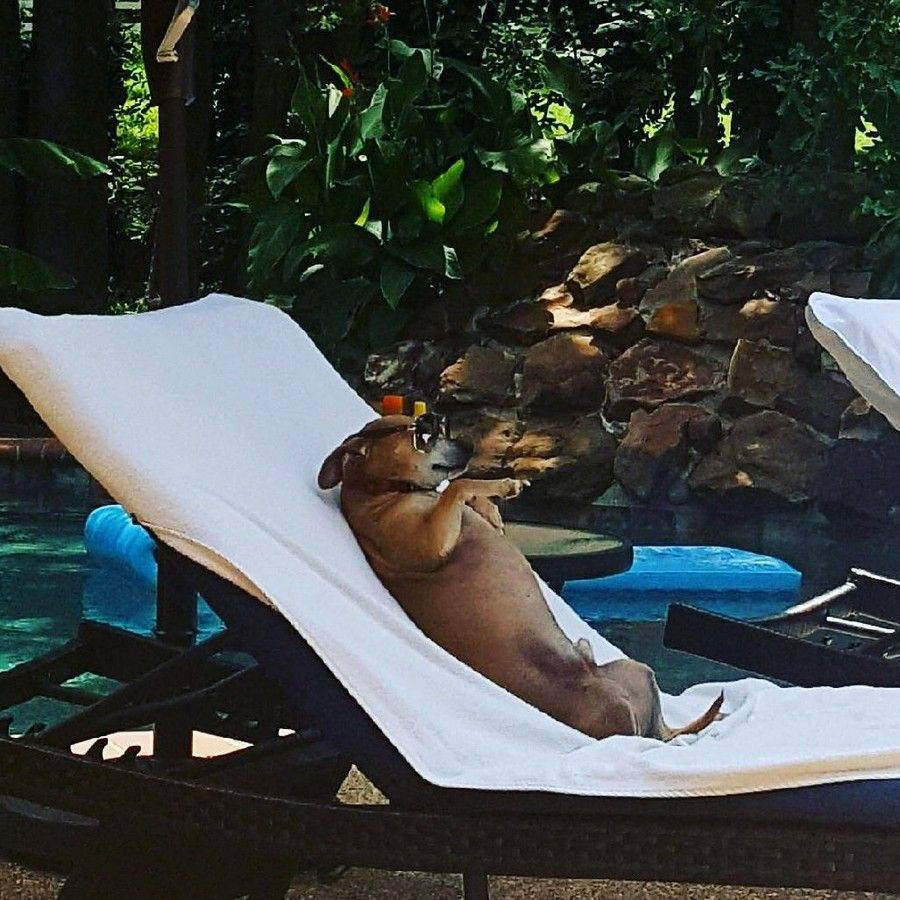 Daily Pictures. Part 2 (73 pics)