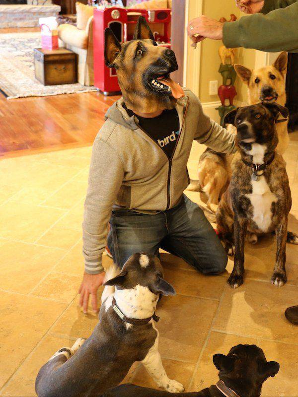 Daily Pictures. Part 2 (73 pics)