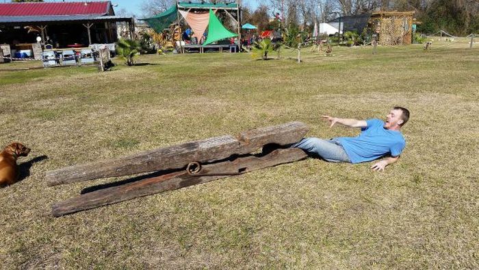 Daily Pictures. Part 2 (73 pics)