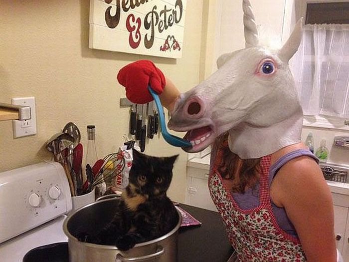 Daily Pictures. Part 1 (74 pics)