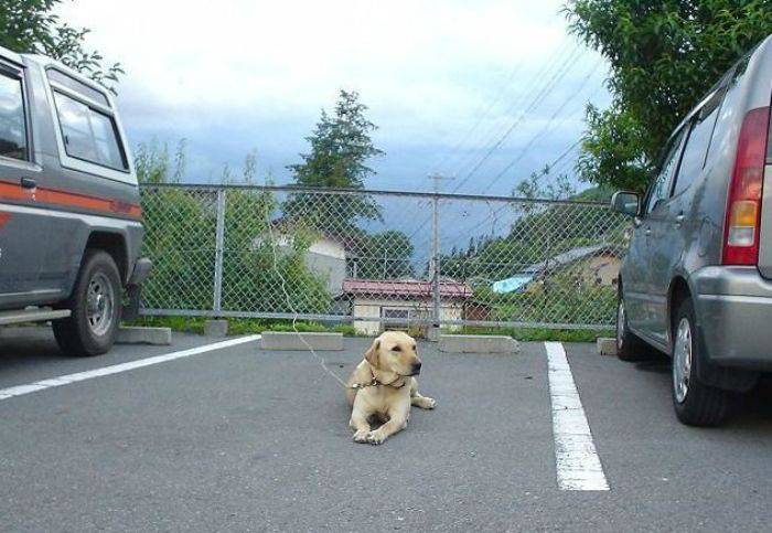 Daily Pictures. Part 2 (73 pics)