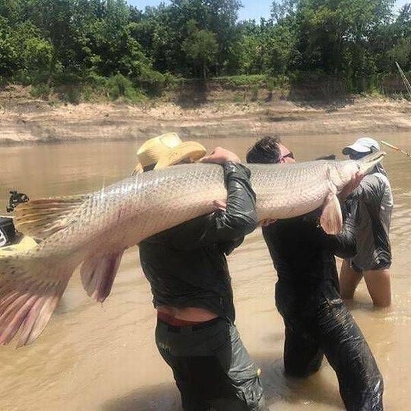 Daily Pictures. Part 2 (73 pics)