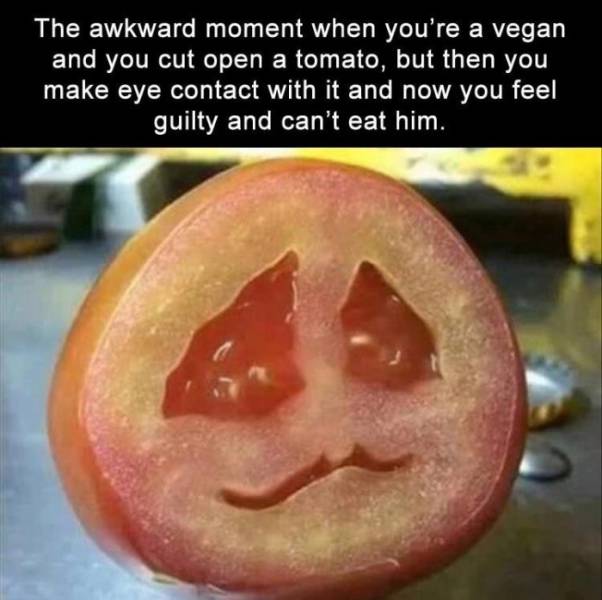 Daily Pictures. Part 2 (73 pics)