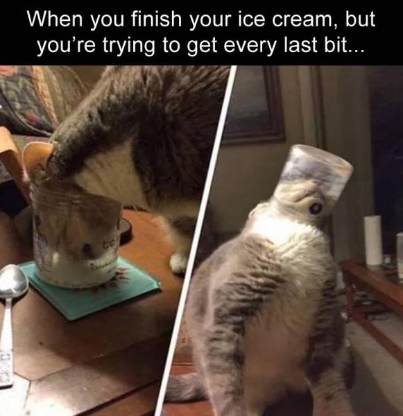 Daily Pictures. Part 2 (73 pics)