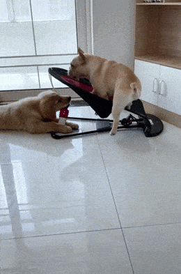 Acid GIFs, March 17 (25 gifs)