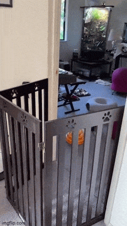 Acid GIFs, March 17 (25 gifs)