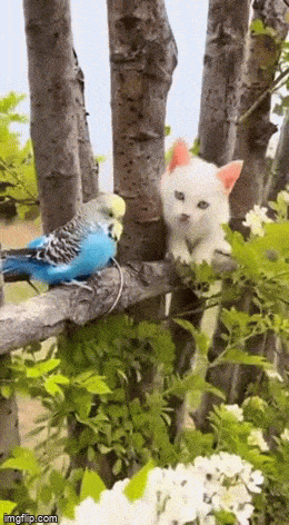 Acid GIFs, March 17 (25 gifs)