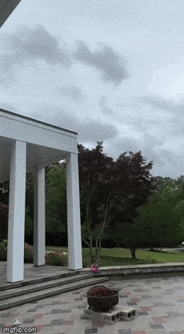 Acid GIFs, March 17 (25 gifs)