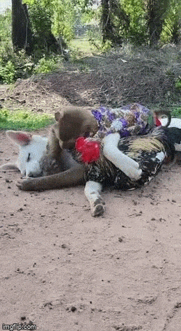 Acid GIFs, March 17 (25 gifs)