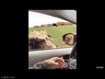 Acid GIFs, March 17 (25 gifs)