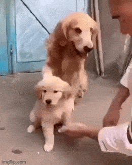 Acid GIFs, March 17 (25 gifs)