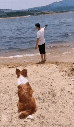 Acid GIFs, March 17 (25 gifs)