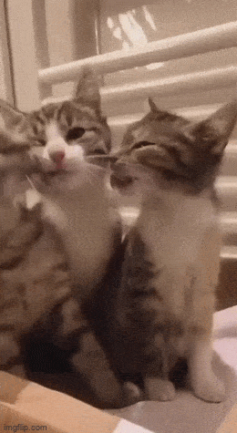 Acid GIFs, March 17 (25 gifs)