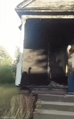 Acid GIFs, March 17 (25 gifs)
