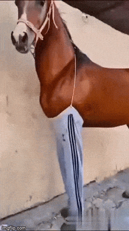 Acid GIFs, March 17 (25 gifs)