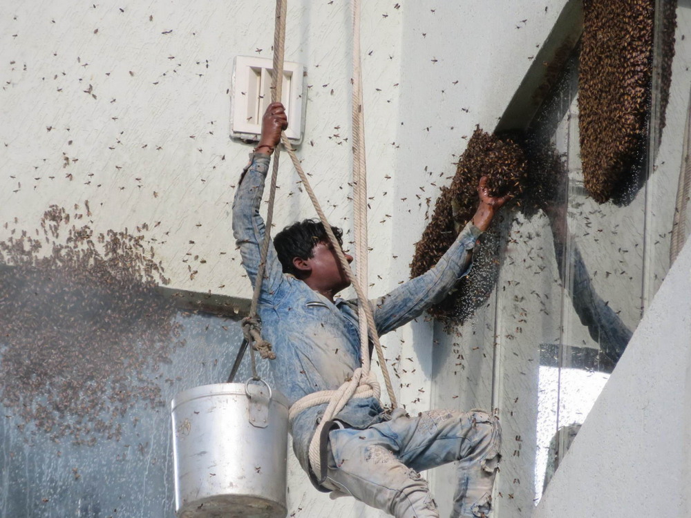 Bad Days Happen (23 pics)