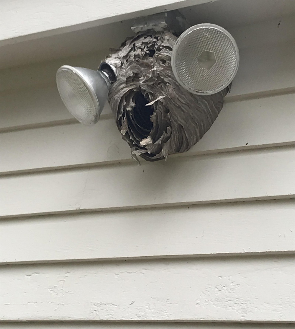 Bad Days Happen (23 pics)