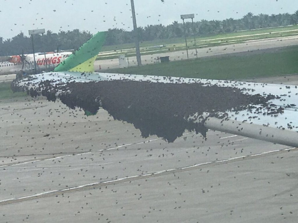 Bad Days Happen (23 pics)