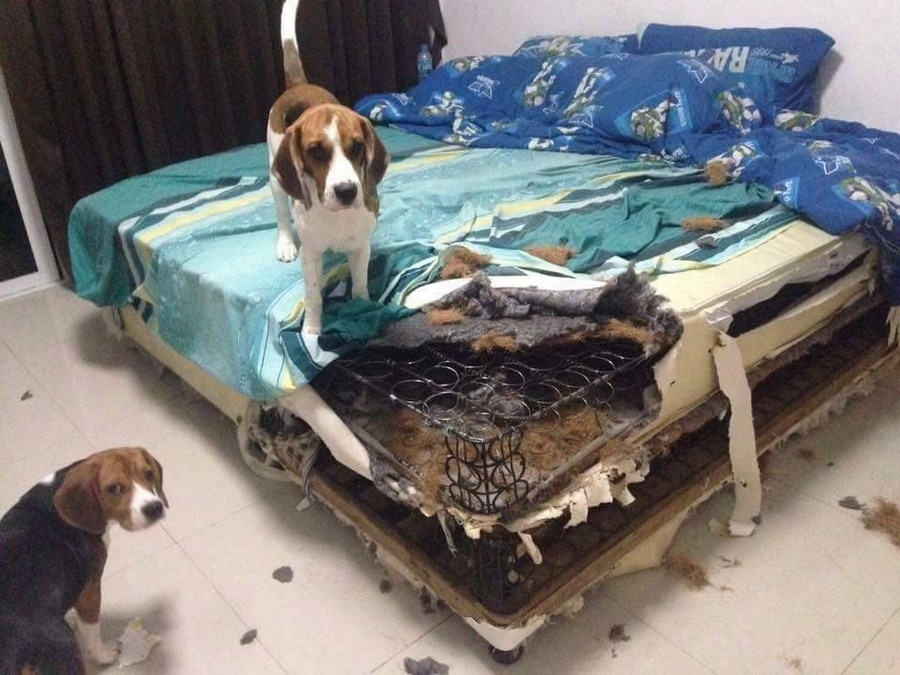 Bad Days Happen (23 pics)