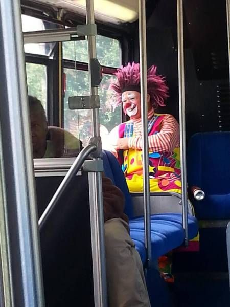 Daily Pictures. Part 2 (73 pics)