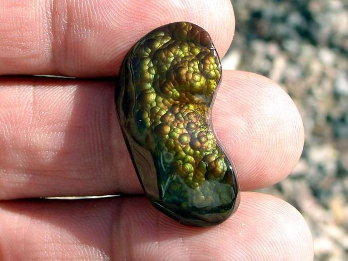 Daily Pictures. Part 2 (73 pics)