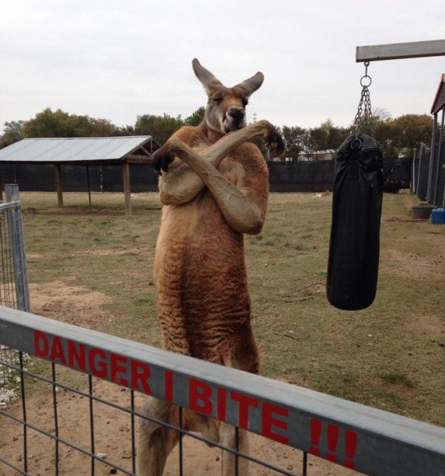 Daily Pictures. Part 2 (73 pics)