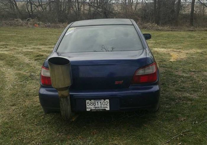 Daily Pictures. Part 2 (73 pics)