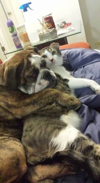 Daily Pictures. Part 2 (73 pics)