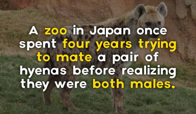 Daily Pictures. Part 2 (73 pics)