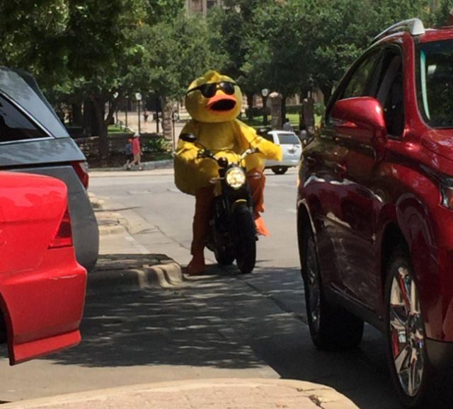 Daily Pictures. Part 2 (73 pics)