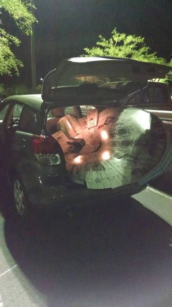 Daily Pictures. Part 2 (73 pics)