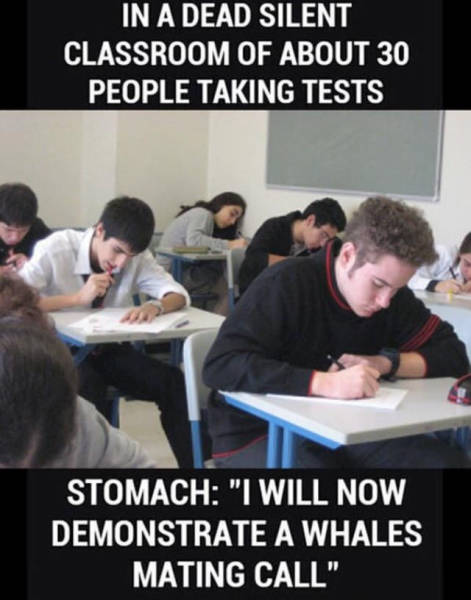 Daily Pictures. Part 2 (73 pics)