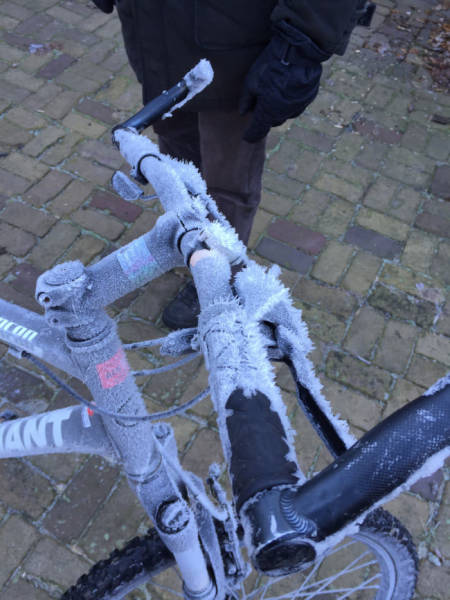 Daily Pictures. Part 2 (73 pics)