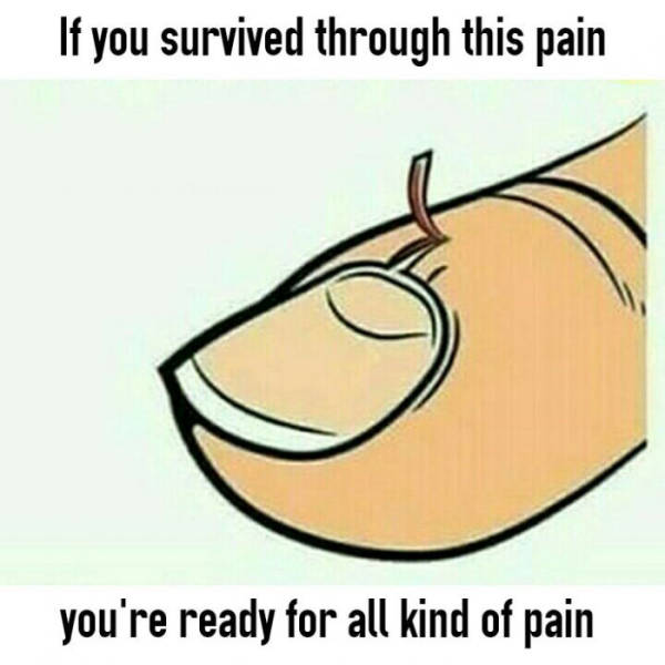 Daily Pictures. Part 2 (73 pics)