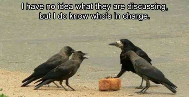 Daily Pictures. Part 2 (73 pics)