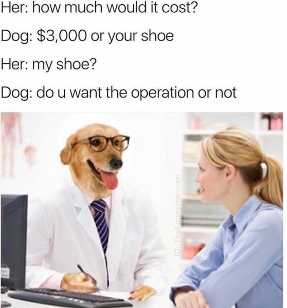 Daily Pictures. Part 2 (73 pics)