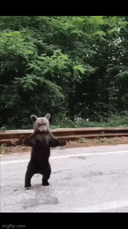 Acid GIFs, March 18 (25 gifs)