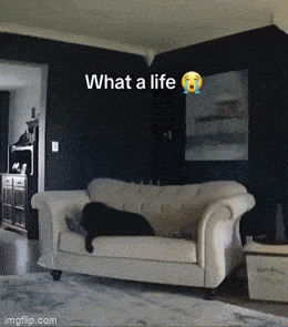 Acid GIFs, March 18 (25 gifs)